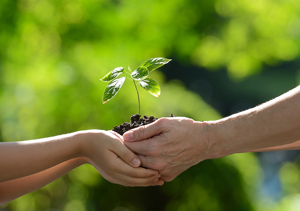 Suzhou Qingtian New Material Co., Ltd.